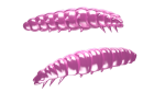 LIBRA LURES LARVA 35 mm Cheese, 12 Stück, 018, Pink Pearl